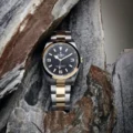 Rolex Explorer 36 Oyster 36mm Oystersteel and Yellow Gold 124273 Watch